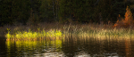DORCAS BAY ROAD #2, 2017 - BRUCE COUNTY