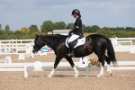 SBM_04191