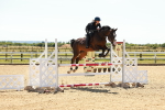 SBM_006731