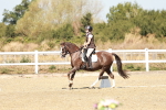 SBM_017384