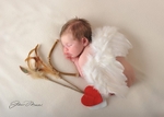angel wings