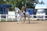 SBM_17535