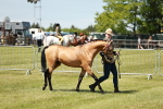 SBM_05558