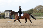 SBM_002254
