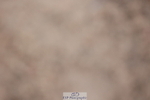 231112A-130047-04325
