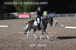 BPP_8620