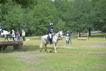 NGP_7833