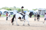 Class 308 - Ridden Coloured Horse portfolio