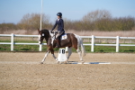 SBM_002037