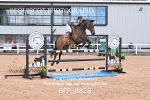 BPP_8828