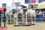 BPP_0528