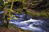 Rouken Glen, Glasgow  - 2911