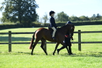 SBM_36803