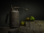 Vintage Garden Sprayer