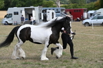 WJ6_6518