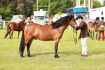 SBM_00477