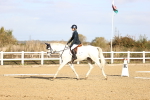 SBM_009036