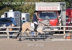 BPP_8106