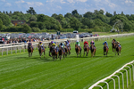 120626-Race 5-Antipodes-0254