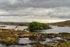 Fisherman's hut