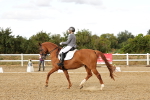 SBM_007406