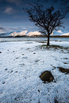 Derwentwater