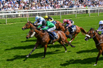 230526-Race 3-Partisan Hero-0432