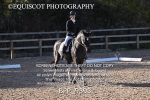 BPP_9393