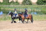 WJ7_7354