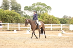 SBM_001987
