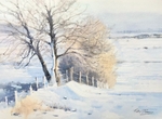 'Winter Ash'