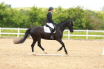 SBM_006509