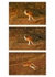 Red Kangaroo Triptych 2