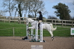 240409A-DSC_0395-01538