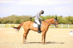 SBM_008442