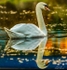 IMG_2714-Edit-2