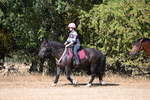 WJ6_7947