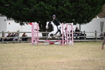 WJ6_1251
