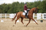 SBM_011799