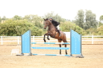 SBM_023637