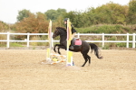 SBM_007204