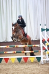 Class 5 - Pony 1.00m Open portfolio