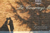 Wedding Photography at De Courceys, Cardiff portfolio