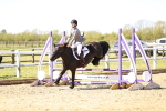 SBM_001631