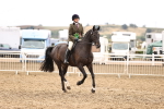 SBM_00709