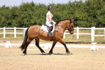 SBM_004003