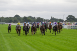 220824-Race 2-Diligently-6794