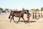 SBM_00175
