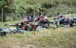 Full Boar Inter-insula_2014-13