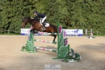 Saturday 17th - Western Counties Arena portfolio